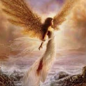 Meet your Posher, Marcia